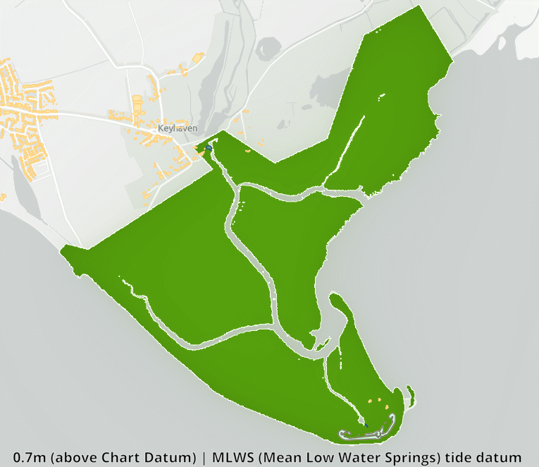 Intertidal Data Dynamics